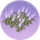 芦苇丛·似锦.png