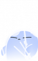 小头像-离魂孙权-魂魂.png