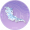 霜花鹄毛·叁.png