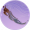 流云垂虹·叁.png