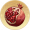 潜龙·石榴.png