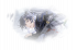 主线-丹书白马.png