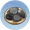 火山石
