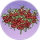桃红花丛·琼宴.png