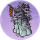 云霞山石·似锦.png