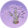 不言树·似锦.png