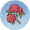 艳丽玫瑰.png