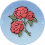 艳丽玫瑰.png