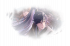 主线-风起荷影.png