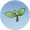 菜芽.png