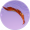丹羽·贰.png