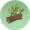 槐树芽.png