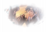 主线-董逃歌（上）.png
