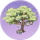 彩灯树·青磷.png