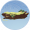 松木枝干·凡品.png