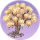 金合欢·芳辰.png