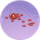 荼蘼花瓣·浪白.png
