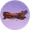 炎溶岩木·珍品.png