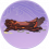 炎溶岩木·珍品.png