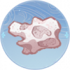 珊瑚石.png