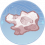 珊瑚石.png