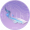 织锦流星·叁.png