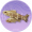 泉下鱼.png