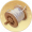 风筝线团.png