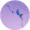 密叶隐岚·贰.png
