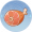 火腿.png
