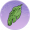 蕉叶纸.png