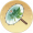 素伞·枫叶.png