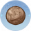 沙滩藤球.png
