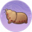 羊皮筏.png