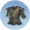 藤甲.png