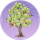 梧桐窝·绯霞.png