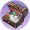 学徒材料·自选·新岁.png