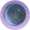 浮世星槎.png