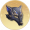 狼吻面具.png