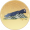 绝世名琴·仙品.png