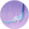 织锦流星·肆.png