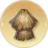 金竹蓑衣.png