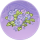 绣球花丛·溪风.png