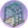 藤萝榭·桃春.png