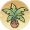 盆栽·棕榈.png