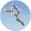 一枝梅.png
