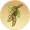 槐实.png