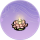 荷花灯·似锦.png