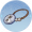 海景单日手环.png