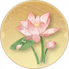 湖心之梦.png